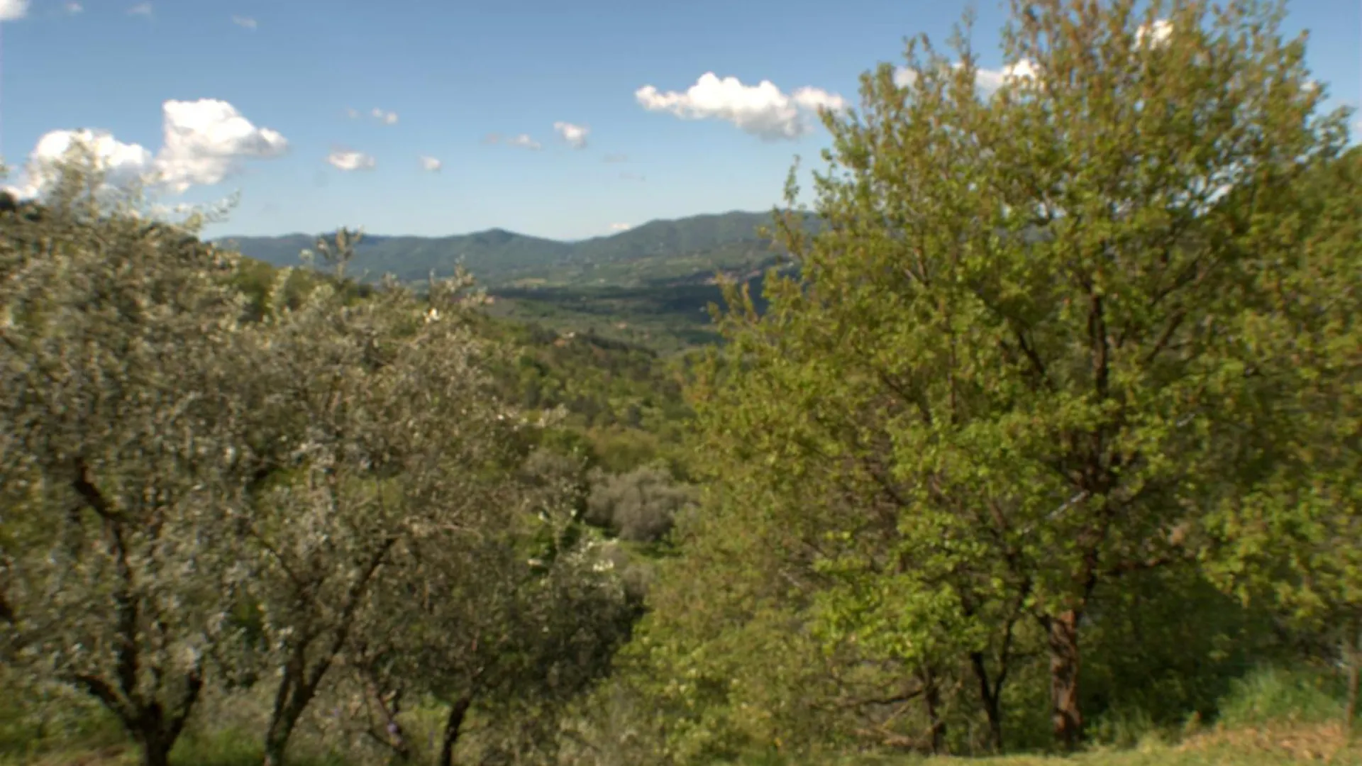 Casa Lina, Vallombrosa, Wifi, Private Area Tosi 아파트